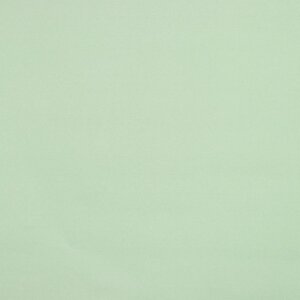 Штора рулонная 'Нюд'блэкаут, 60x250 см, цвет зелёный