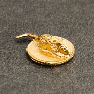 Сувенир кошельковый 'Золотая Мышка на монете'олово, 0,6х2,2х1,6 см (комплект из 5 шт.)