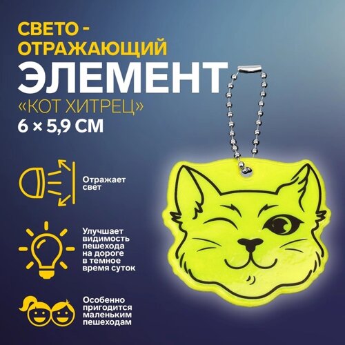Светоотражающий элемент 'Кот хитрец'двусторонний, 6 x 5,9 см, цвет МИКС (комплект из 9 шт.)