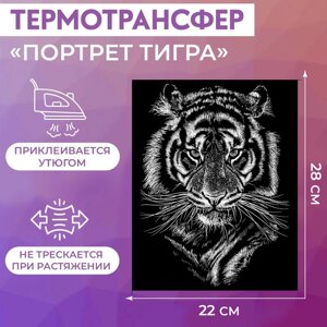 Термотрансфер 'Портрет тигра'22 x 28 см (комплект из 5 шт.)