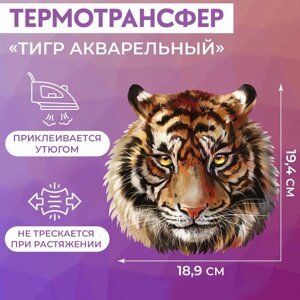 Термотрансфер 'Тигр акварельный'19,4 x 18,9 см (комплект из 5 шт.)