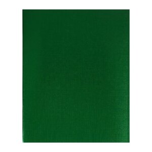 Тетрадь 48 листов в клетку на скрепке METALLIC 'Зелёная'обложка бумвинил, блок офсет