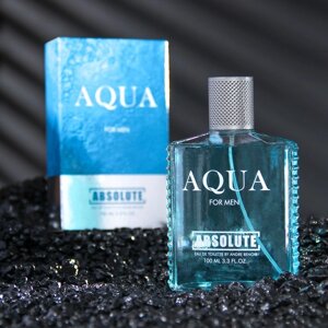 Туалетная вода мужская Absolute Aqua, 100 мл (по мотивам Acqua Di Gio (G. Armani)