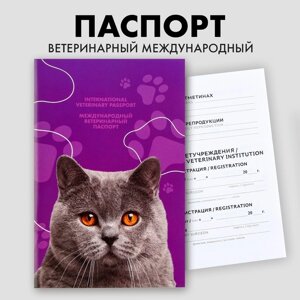 Ветеринарный паспорт международный универсальный для кошек