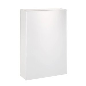 Зеркало-шкаф для ванной комнаты 'Виктория 45'45 х 68,5 х 14,5 см