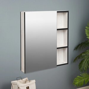 Зеркало-шкаф для ванной комнаты 'Винтер 60'Винтерберг, 60 х 66,7 х 12,3 см