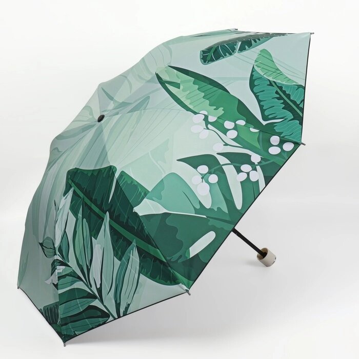 Зонт механический 'Листья', эпонж, 4 сложения, 8 спиц, R  48 см, цвет МИКС от компании Интернет-магазин "Flap" - фото 1