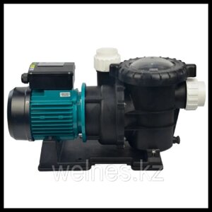 Насос Powerful PP1100 для бассейна c префильтром (производительность = 20 м3/ч)