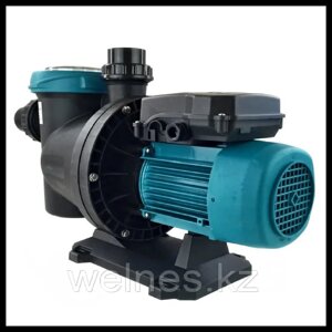 Насос Espa Silen S 100 18M для бассейна c префильтром (220V, производительность = 17 м3/ч)