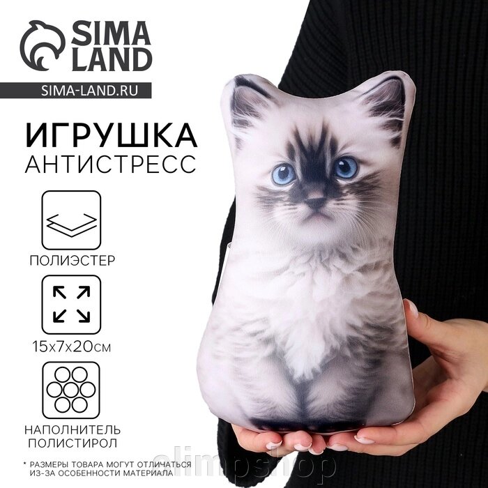 Антистресс игрушка «Котик Рэгдолл» от компании alimpshop - фото 1