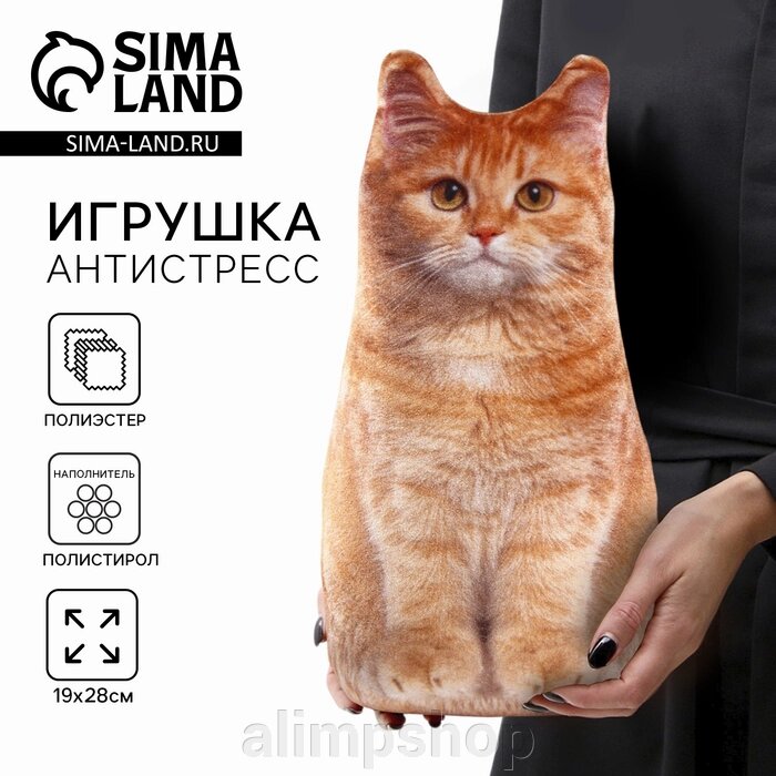 Игрушка-антистресс «Рыжий кот», 19х28 см от компании alimpshop - фото 1