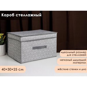 Короб стеллажный для хранения с крышкой Доляна «Фора», 40*30*25 см, цвет серый