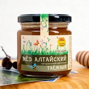 Мёд Алтайский "Таежный", натуральный цветочный, 250 г стекло