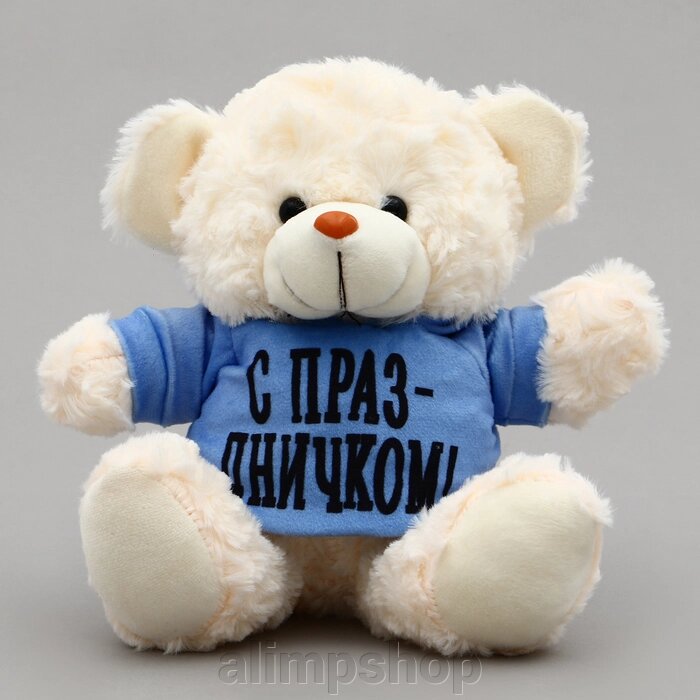 Мягкая игрушка Мишка «С праздничком!», в кофте, 13 см от компании alimpshop - фото 1