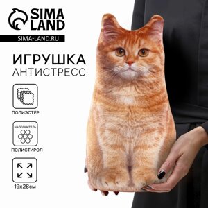 Игрушка-антистресс «Рыжий кот», 19х28 см в Алматы от компании alimpshop