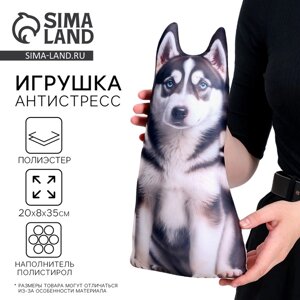 Антистресс игрушка, собака «Хаски»