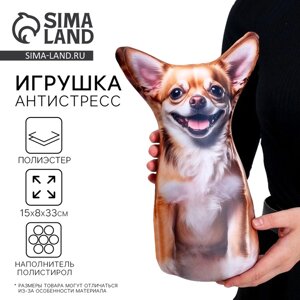 Антистресс игрушка, собака «Чихуа»