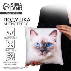 Подушка декоративная антистресс, кот «Рэгдолл» в Алматы от компании alimpshop