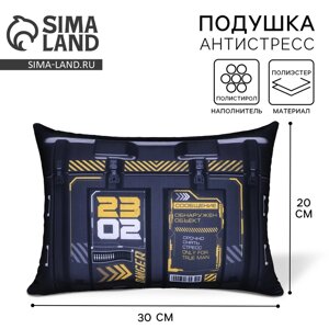 Подушка декоративная антистресс «Мир принадлежит тебе», 30 х 22 см