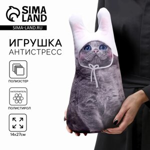 Игрушка антистресс, "Серый кот в шапке" в Алматы от компании alimpshop