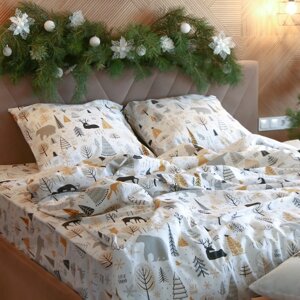 Постельное бельё "Этель" 2 сп Let it snow (вид 1) 175х215 см, 200х220 см, 70х70 см - 2 штуки