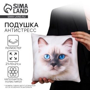 Подушка декоративная антистресс, кот «Рэгдолл»