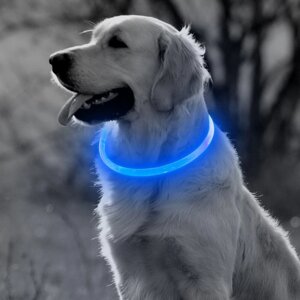 Светодиодный ошейник для собак usb, цвет голубой, размер XL