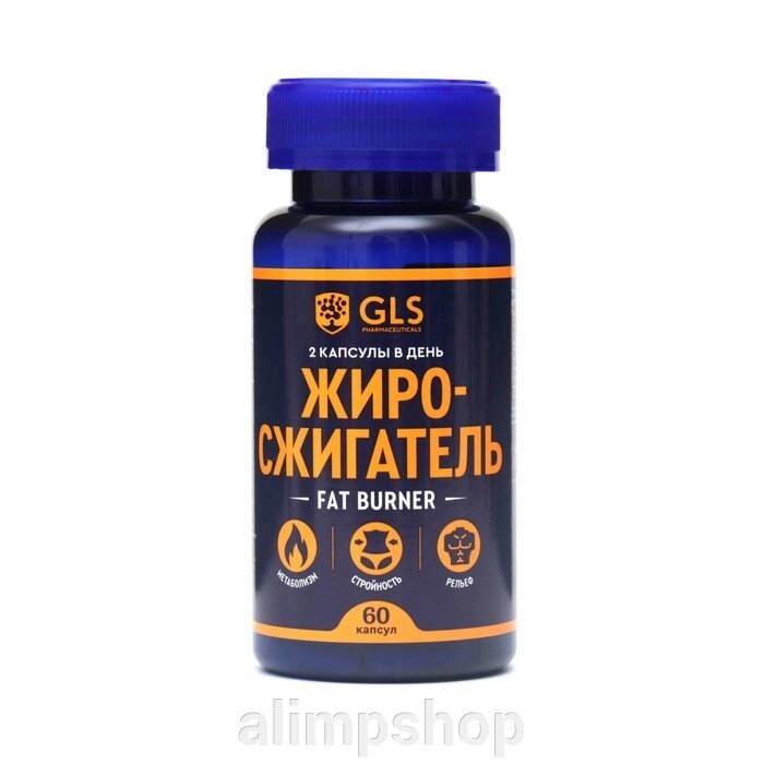 Жиросжигатель Fat Burner GLS для похудения, 60 капсул по 350 мг от компании alimpshop - фото 1