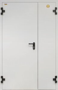 Дверь противопожарная входная металлическая ДП 2 2050/1250/50 R