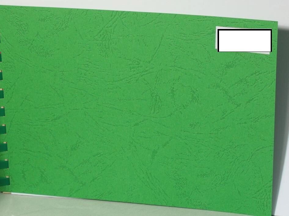 Обложки для переплёта Cover Paper, 210*297, А4 формата, картон, зеленого цвета от компании Канцелярские, хозяйственные товары, рубашки, халаты, текстиль - фото 1