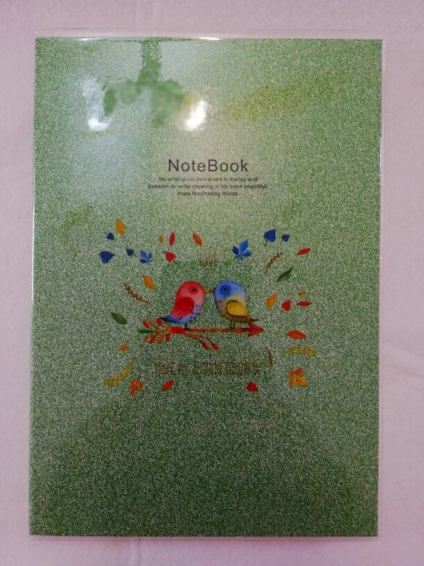 Записная книжка - тетрадь, NoteBook, 222*140 мм, прозрачной обложкой, цвет-зеленый с блестками от компании Канцелярские, хозяйственные товары, рубашки, халаты, текстиль - фото 1