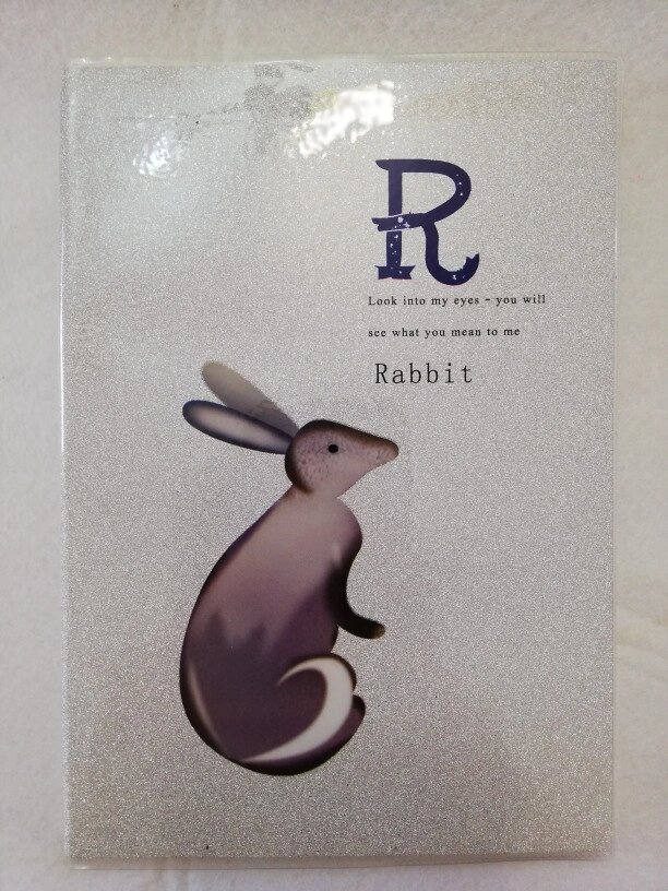 Записная книжка - тетрадь, NoteBook Rabbit, 222*140 мм, прозрачной обложкой, цвет-серый с блестками от компании Канцелярские, хозяйственные товары, рубашки, халаты, текстиль - фото 1