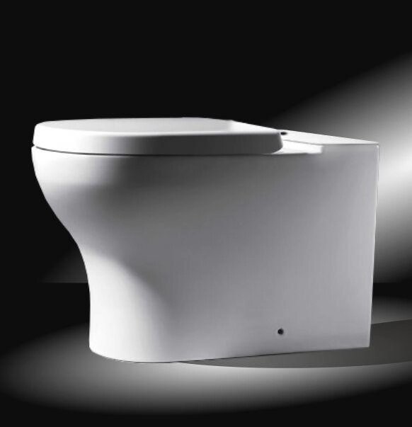 Чаша напольного унитаза BRAVAT Rael с сиденьем Soft Close белый (CX01016UW-PA-RUS) от компании Интернет-магазин ProComfort - фото 1