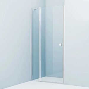 Душевая дверь распашная IDDIS RAY6CP1i69 110х195 Ray, глянцевый алюминиевый профиль