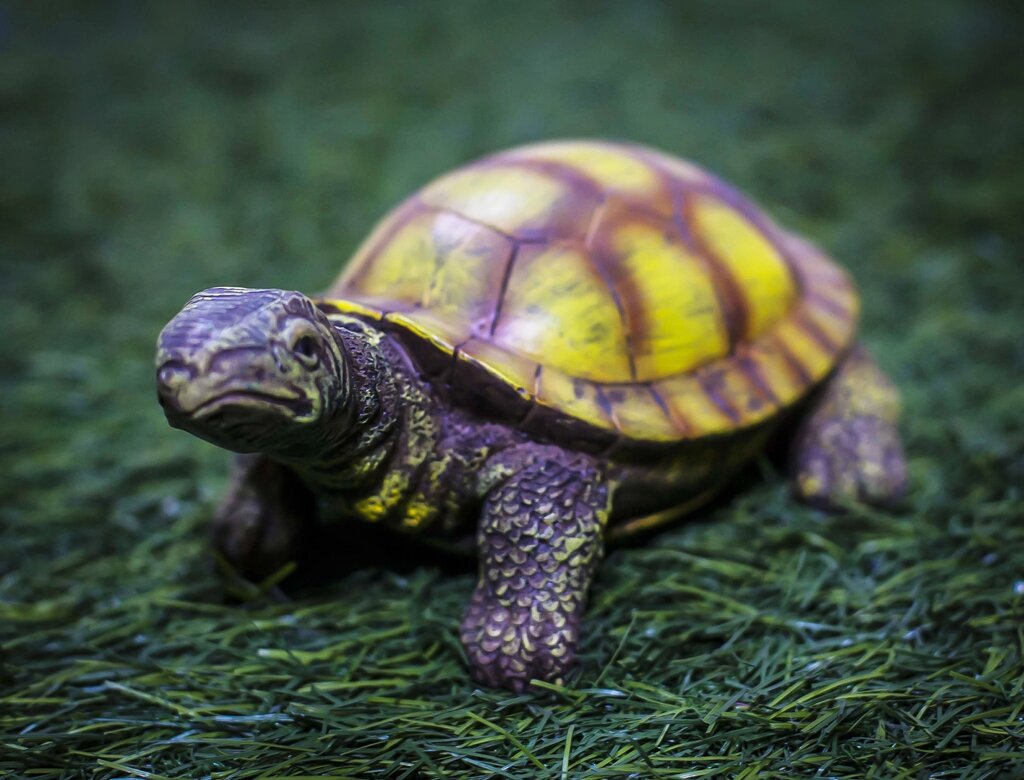 Декоративная садовая фигурка "Черепаха" (фиолетовая) от компании Интернет-магазин VPROK_kz - фото 1