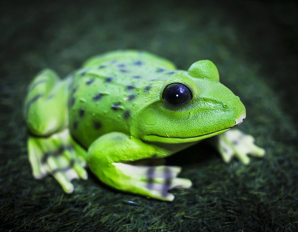 Декоративная садовая фигурка "Лягушка" (зеленая) от компании Интернет-магазин VPROK_kz - фото 1