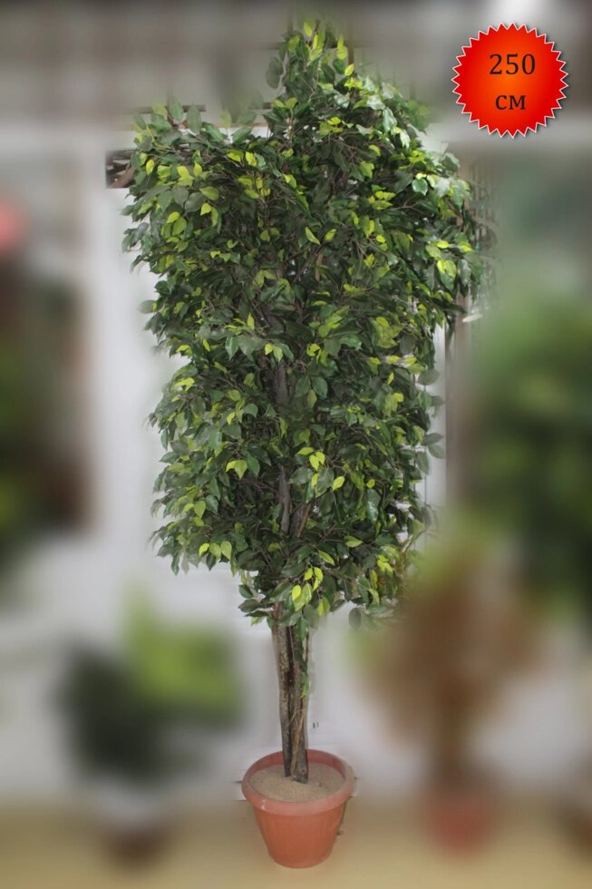 Дерево искусственное, фикус лиана, 250 см от компании Интернет-магазин VPROK_kz - фото 1