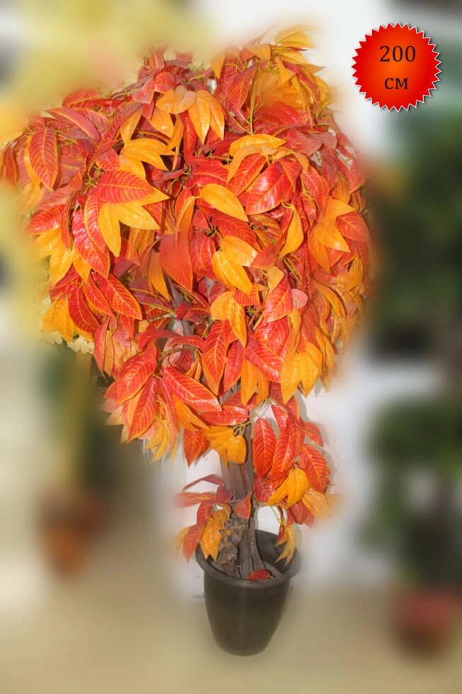 Дерево искусственное, ясень, 200 см от компании Интернет-магазин VPROK_kz - фото 1