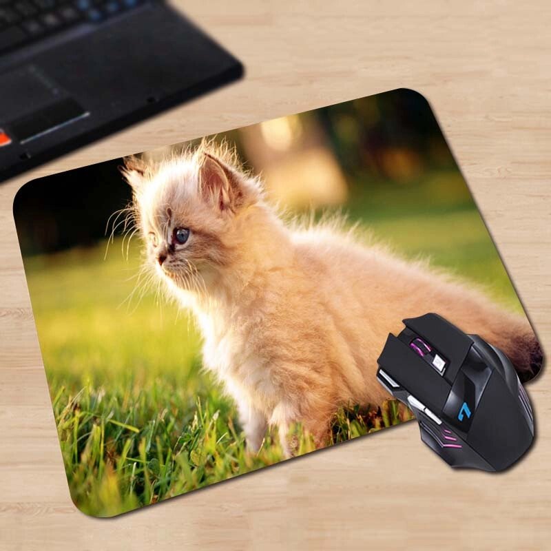 Коврик для мышки "Pad for Mouse  с изображением  "Пушистый котенок в цветах", Dimensions:300mm x 250mm x 3mm" от компании Интернет-магазин VPROK_kz - фото 1