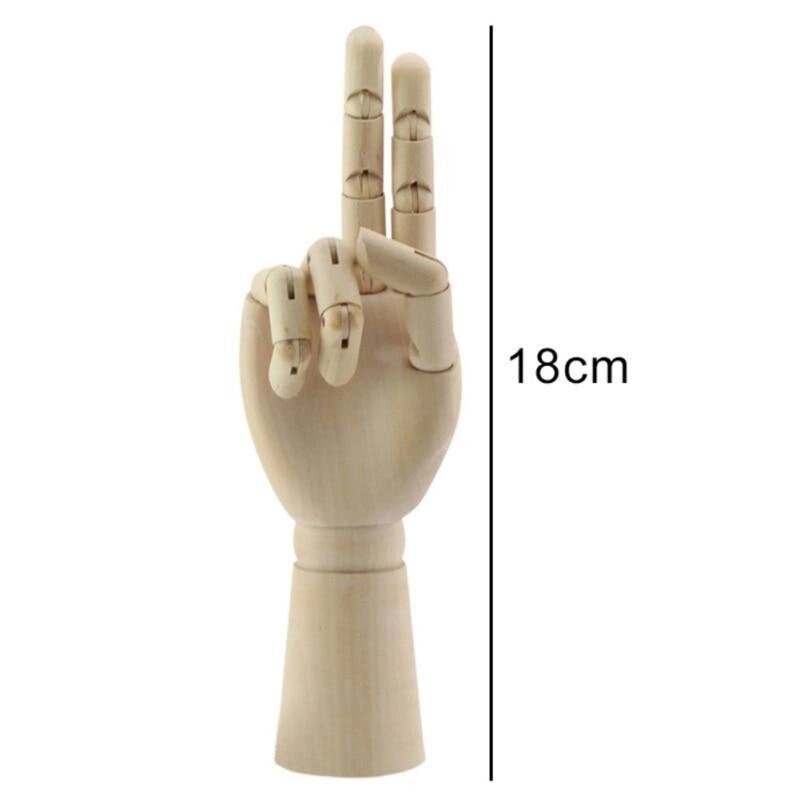Модель "Кисть руки" 18 см, правая от компании Интернет-магазин VPROK_kz - фото 1