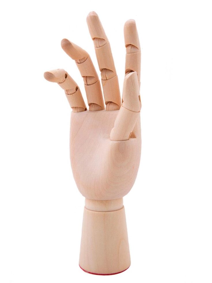 Модель "Кисть руки" 25 см, правая от компании Интернет-магазин VPROK_kz - фото 1