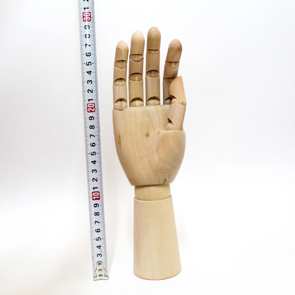 Модель "Рука" 29 см, правая от компании Интернет-магазин VPROK_kz - фото 1