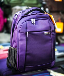 Рюкзак "Asiapard B 881", (фиолетовый)