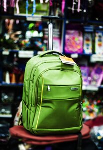 Рюкзак на колесах"Asialeopard", 36х27х50см (зеленый)