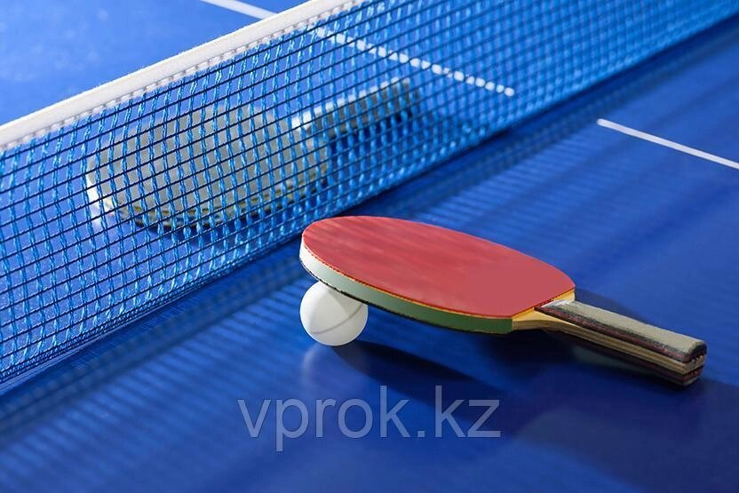 Сетка для настольного тенниса с креплениями FUN WinMax WMY06623 от компании Интернет-магазин VPROK_kz - фото 1