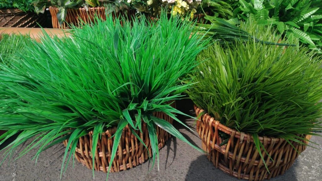 Трава декоративная искусственная под кашпо 34 - 44 см (1 пучок) от компании Интернет-магазин VPROK_kz - фото 1