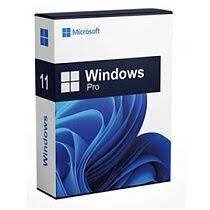 Microsoft Windows 11 Professional, 64-bit, USB HAV-00160