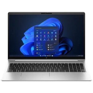Ноутбук HP ProBook 450 G10 (85B18EA), Silver