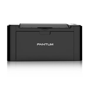 Портативный принтер Pantum P2507, A4