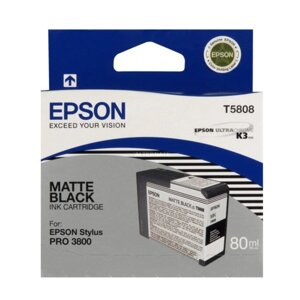 Струйный картридж Epson C13T580800